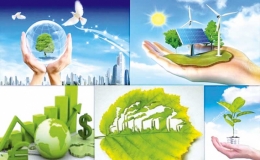 Quy định về đánh giá sơ bộ tác động môi trường