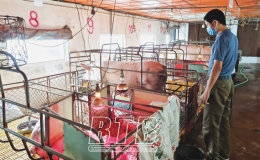 Quỹ Tín dụng nhân dân Quỳnh Ngọc: Đơn vị tốp đầu
