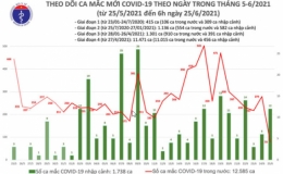 Sáng 25/6: Thêm 91 ca mắc Covid-19, TP Hồ Chí Minh tiếp tục nhiều nhất 57 ca