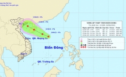 Tin về vùng áp thấp trên biển Đông