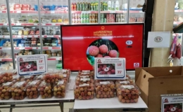 Vải thiều Thanh Hà bán giá nửa triệu đồng/kg tại Pháp