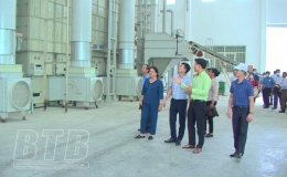 Đánh giá tiềm năng giống lúa Đông A1