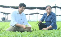 Hơn 800 cán bộ hội nông dân được tập huấn các kiến thức về an toàn thực phẩm