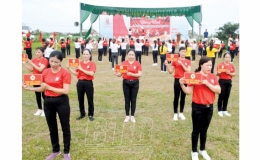 Tăng cường tuyên truyền phòng, chống tác hại của thuốc lá tại địa phương trồng cây thuốc lào