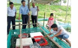Thu nhập gần 1 tỷ đồng/năm từ nuôi ốc nhồi