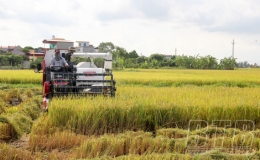 Thúc đẩy cơ giới hóa trong sản xuất nông nghiệp