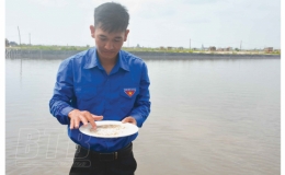 Ước mơ làm giàu từ ngao giống