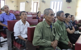Vũ Thư: Tập huấn kỹ thuật chăn nuôi bò theo chuỗi liên kết