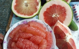 Bưởi Phước Bình (Ninh Thuận) được cấp mã số xuất khẩu sang Hoa Kỳ
