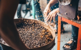Cà phê phân chim đắt nhất thế giới