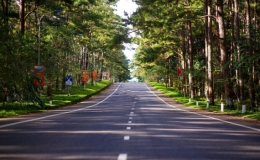 Cẩm nang du lịch Măng Đen