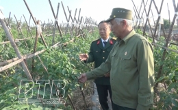 Cựu chiến binh Trần Đăng Khoa: Làm giàu từ mô hình VAC
