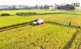 Gỡ khó cho "đại điền"