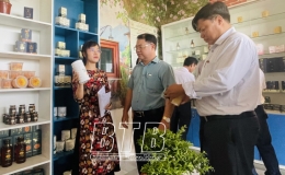 Khai trương HTX Dược liệu Vân Đài