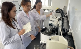 Làm muối từ mai mực