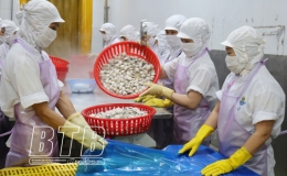 Tận dụng thị trường tiềm năng để đẩy mạnh xuất khẩu