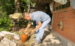 Thái Bình: Ghi nhận 30 ca mắc sốt xuất huyết từ đầu năm đến nay