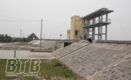 Tiền Hải: Chủ động phòng, chống thiên tai