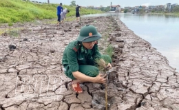 Tuổi trẻ Bộ đội Biên phòng tham gia bảo vệ môi trường