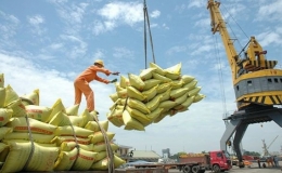 Việt Nam tiếp tục là nhà cung cấp gạo lớn nhất của Philippines