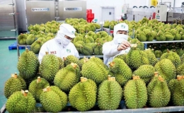 Xuất nhập khẩu đạt trên 316 tỷ USD trong nửa năm 2023