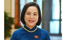 Bà Nguyễn Thị Thanh được bầu làm Phó Chủ tịch Quốc hội