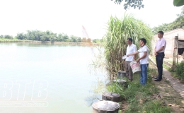 Quỳnh Phụ: Tạo việc làm từ vốn chính sách