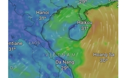 Công văn số 52/BCH-PCTT về việc chủ động ứng phó với vùng áp thấp có khả năng hình thành trên biển Đông và gió mạnh trên biển