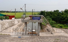 Đông Hưng: Chủ động phòng, chống thiên tai