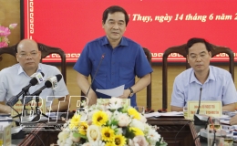 Giám sát chuyên đề về thực hiện chương trình mục tiêu quốc gia xây dựng nông thôn mới tại huyện Thái Thụy