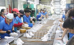Kỳ 3: Nhiều dịch vụ hỗ trợ doanh nghiệp xuất khẩu