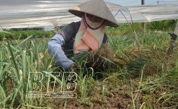 Người lao động hối hả trong nắng nóng