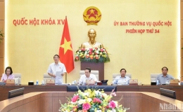 Nhất trí trình Quốc hội quyết định tiếp tục giảm 2% thuế VAT đến hết năm 2024