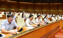 Quốc hội thành lập đoàn giám sát tối cao về bảo vệ môi trường