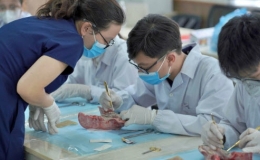 16 đại học tuyển ngành Y khoa bằng tổ hợp có Tiếng Anh