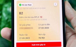 Các bước thêm bằng lái trên VNeID khi ứng dụng không tự cập nhật