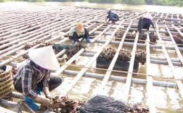 Chung tay giảm thiểu rác thải nhựa - lan tỏa lối sống xanh