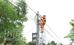 Điện lực Vũ Thư: Bảo đảm cấp điện an toàn, ổn định