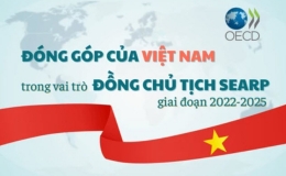 Đóng góp của Việt Nam trong vai trò Đồng Chủ tịch Chương trình Đông Nam Á giai đoạn 2022-2025