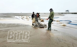 Đông Minh: Phát triển kinh tế nuôi trồng thủy sản