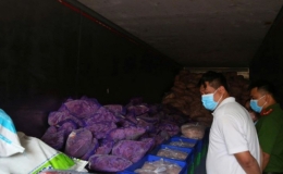 Kho chứa 11 tấn thực phẩm hết hạn, không nguồn gốc tại Bình Dương