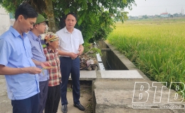 Kiểm tra tiến độ thu hoạch lúa xuân tại huyện Kiến Xương