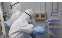 Nghiên cứu của Australia hé lộ cách virus SARS-CoV-2 tiếp tục tiến hóa