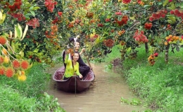 Nhà vườn vào mùa du lịch