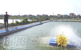 Nhiều giải pháp khắc phục nắng nóng trong nuôi trồng thủy sản