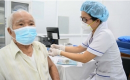 Những vaccine khuyến cáo nên tiêm cho người cao tuổi và người mắc bệnh mạn tính