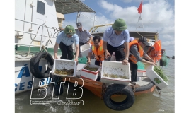 Nỗ lực tái tạo nguồn lợi thủy sản