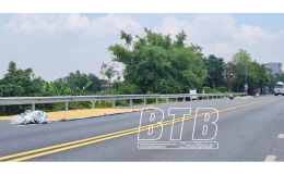 Phơi thóc dưới lòng đường – tiềm ẩn nguy cơ tai nạn giao thông