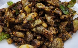 Sốc phản vệ sau khi ăn ve sầu chiên giòn