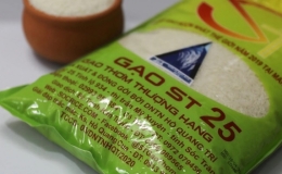 Sức mua gạo ST25 giảm trước thông tin bị làm giả